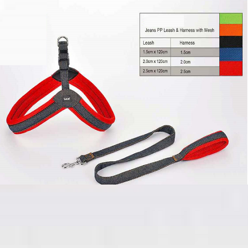 YDL 113 Jeans PP leash & Harness with Mesh